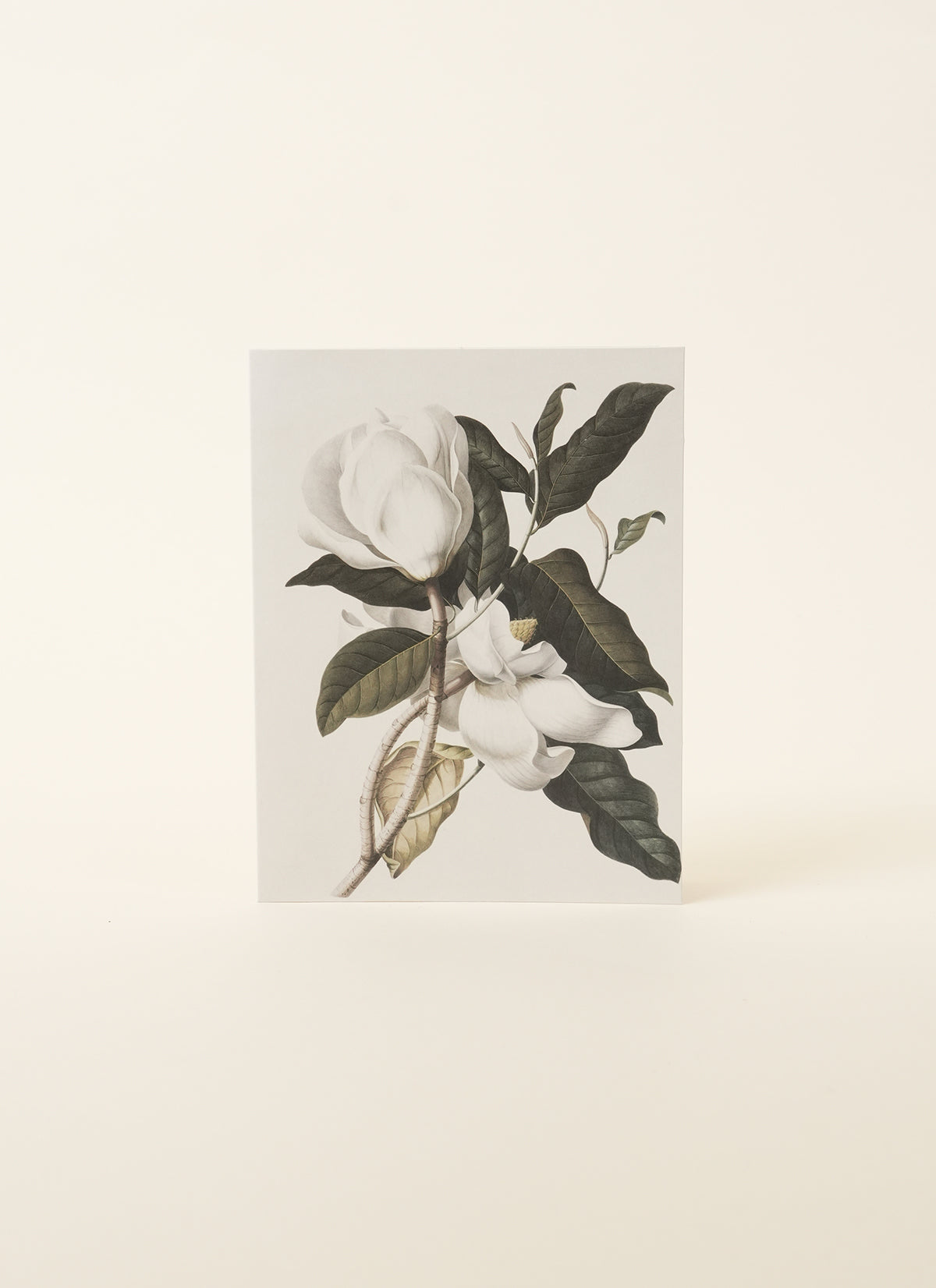 Gardenia Card