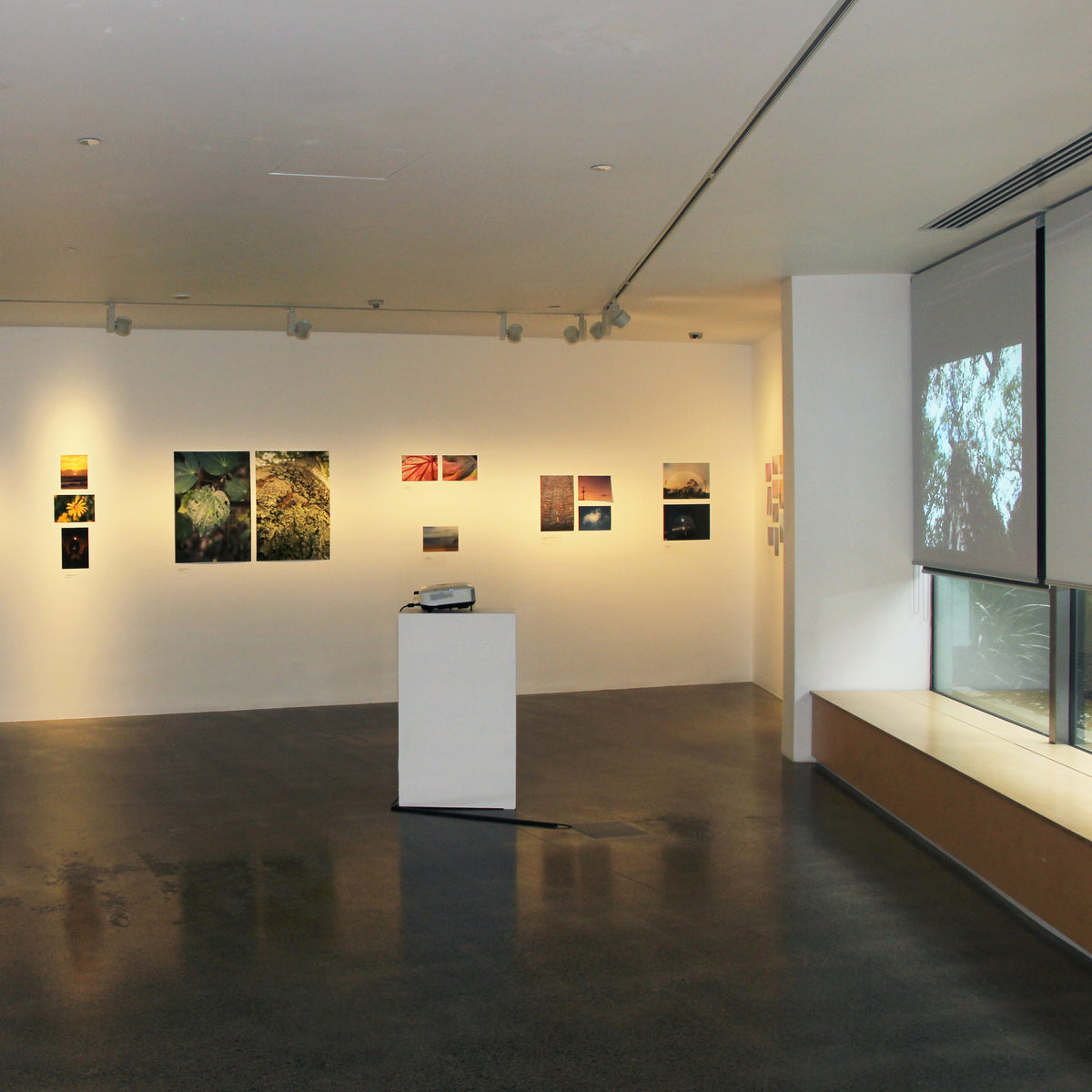 In/Sight exhibition photo