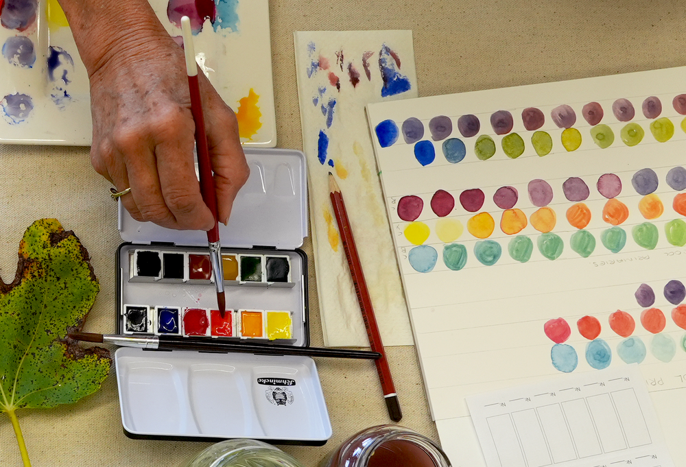 Botanical Watercolours with Jennifer Duval-Smith