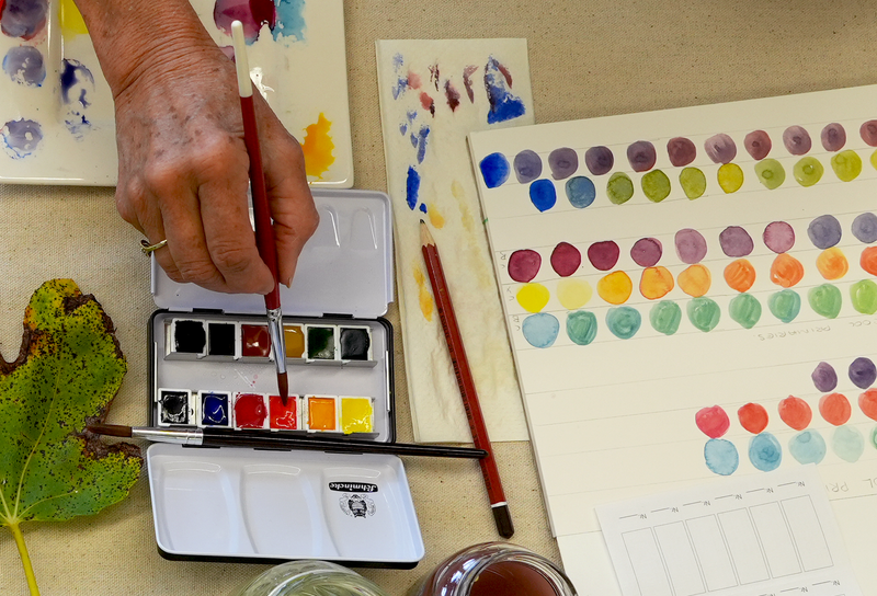 Botanical Watercolours with Jennifer Duval-Smith