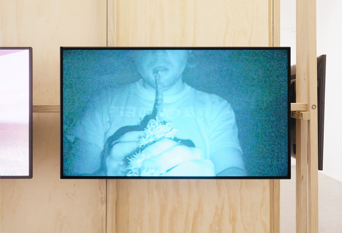 Campbell Patterson | And Campbell Patterson exhibition photo