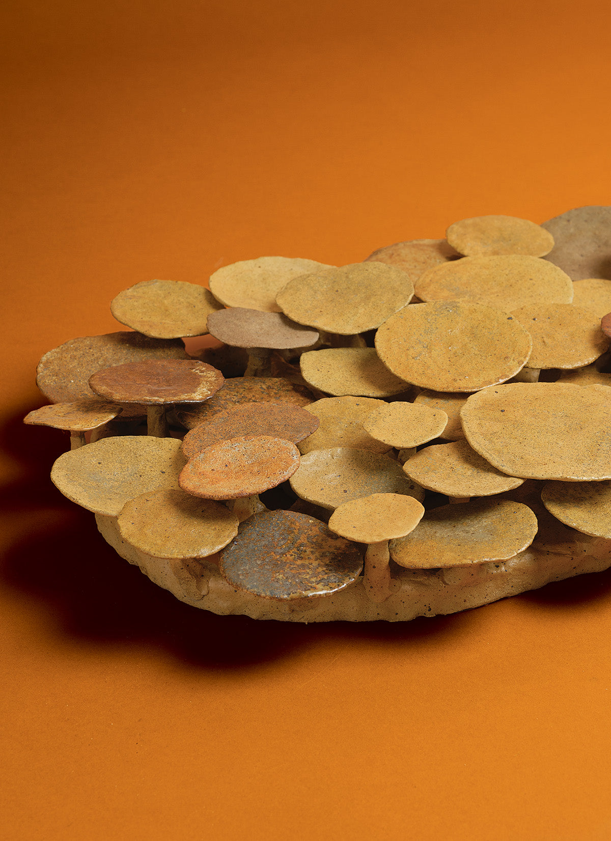 Jaime Jenkins | Stragglers