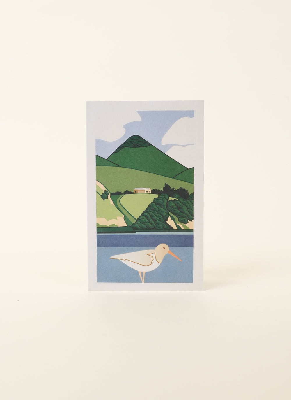 Dame Robin White | White oystercatcher and Harbour Cone, 1997 Card