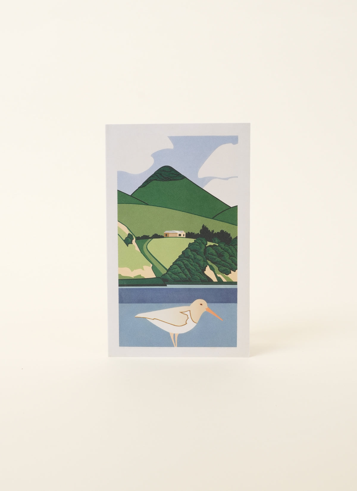 Dame Robin White | White oystercatcher and Harbour Cone, 1997 Card