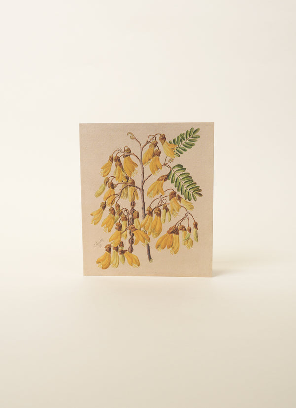 Sarah Featon Yellow Kōwhai Card