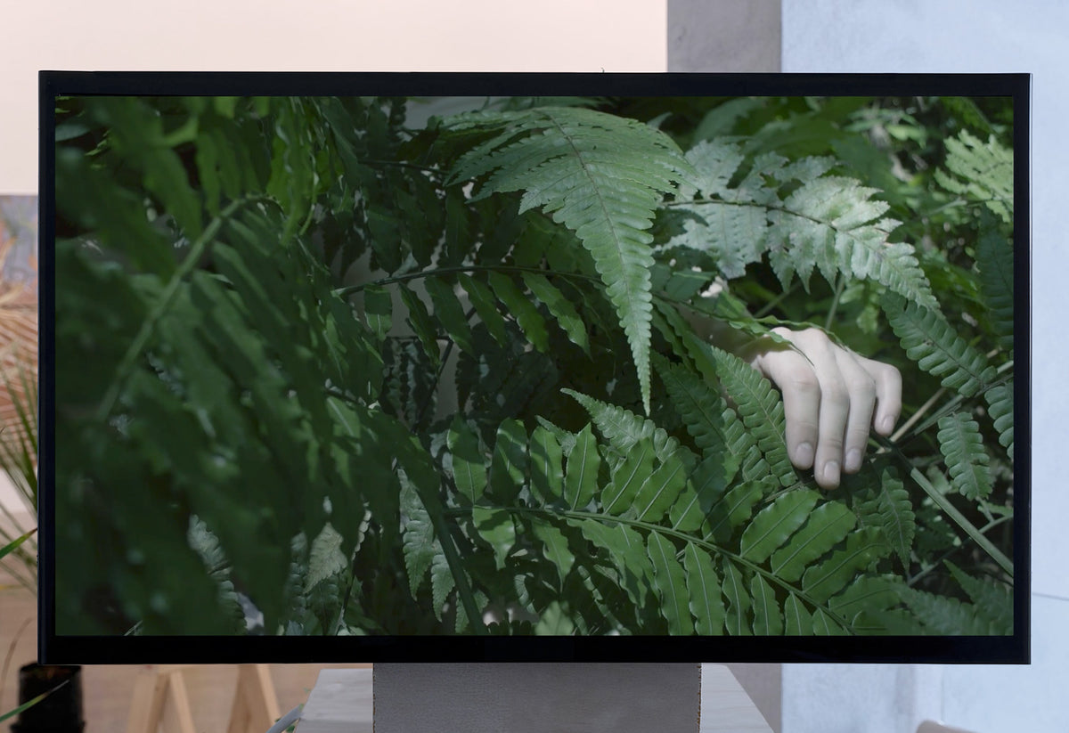 Jonathas de Andrade, Anetta Mona Chişa, Ayesha Green, Arapeta Hākura, Emily Karaka, Agnieszka Polska, Mathilde Rosier, Zheng Bo | all the forest stands with you exhibition photo