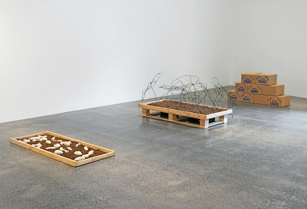 Te Uru Secondary Art Award 2025  | E Tipu, E Rea