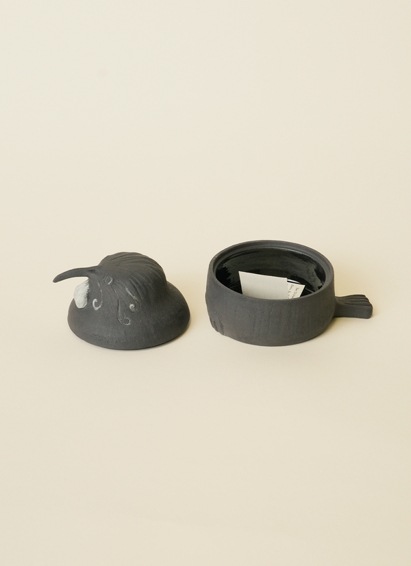 Shaw Road Tūī Trinket Box (Simple Design)