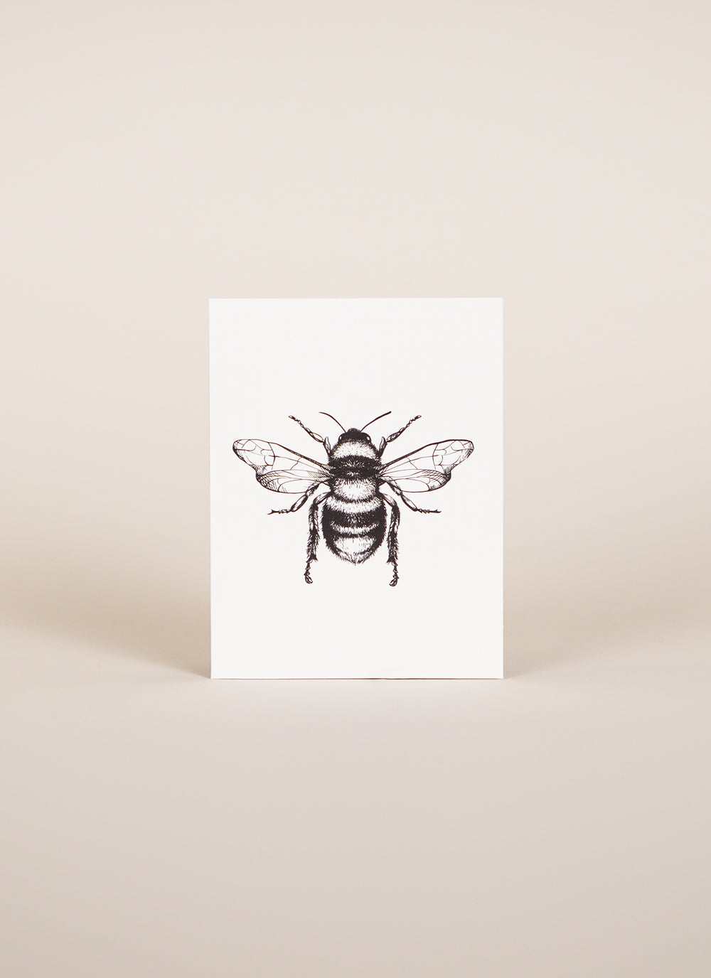 Father Rabbit Bumble Bee Card