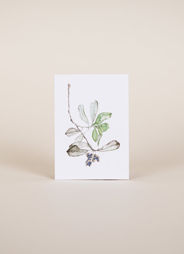 Botanical Watercolour Card