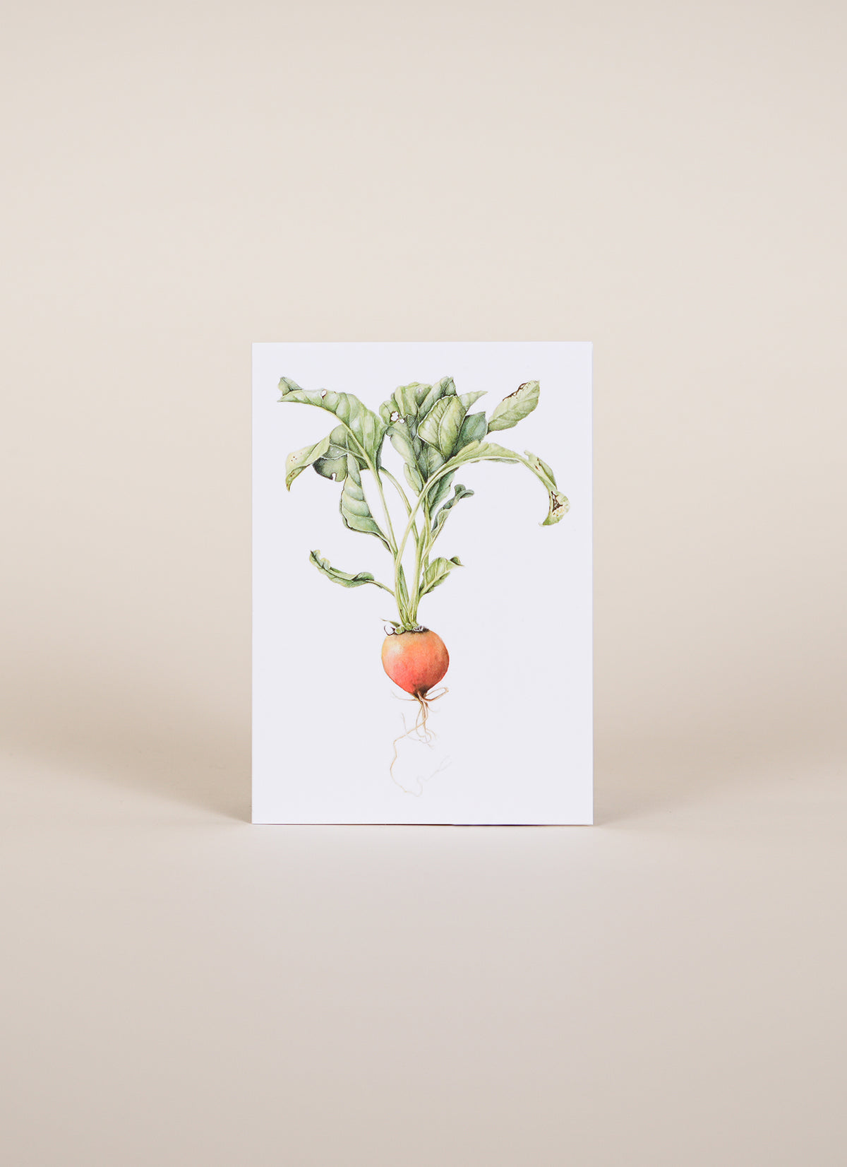 Botanical Watercolour Card