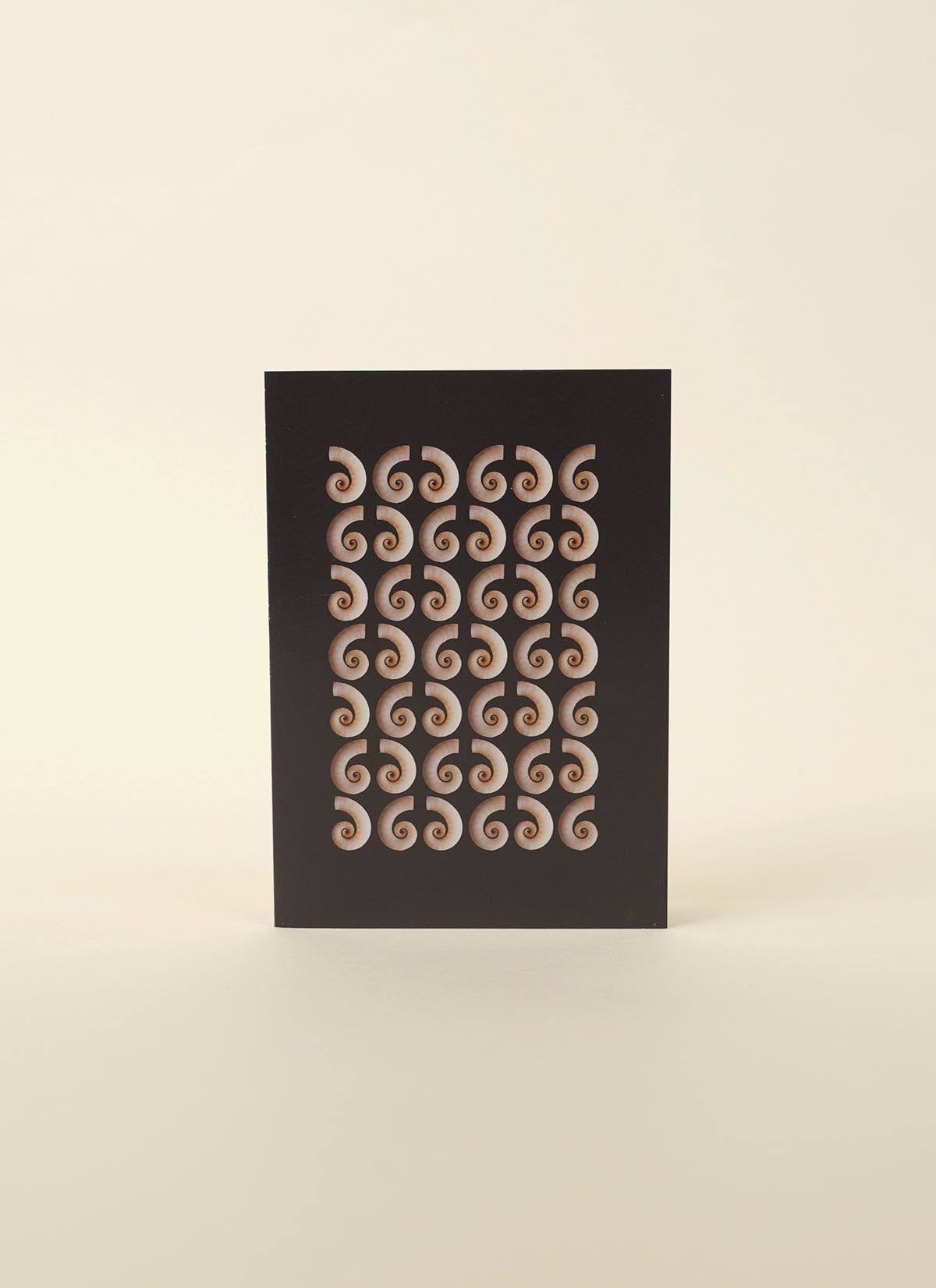 Tessa Chrisp Rams Horn Shell Card