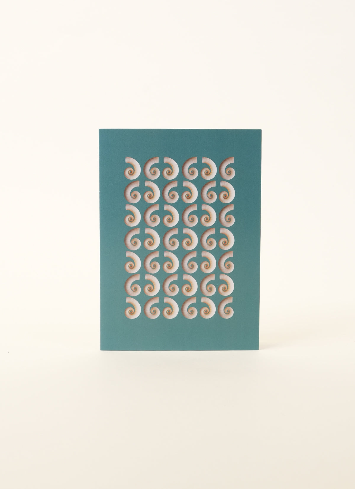 Tessa Chrisp Rams Horn Shell Card