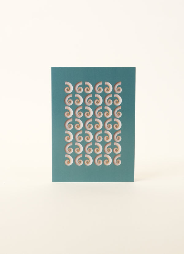 Tessa Chrisp Rams Horn Shell Card