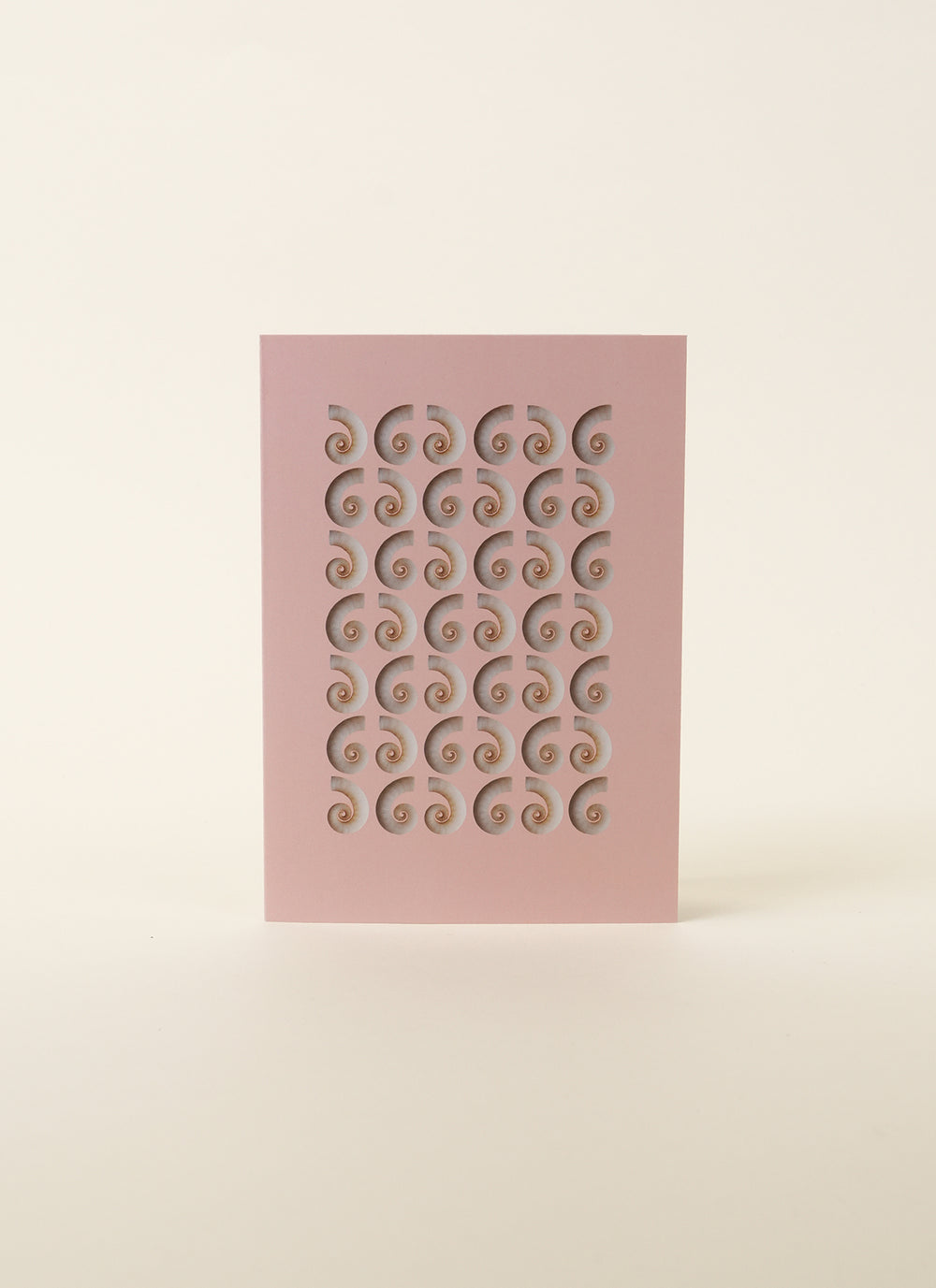 Tessa Chrisp Rams Horn Shell Card