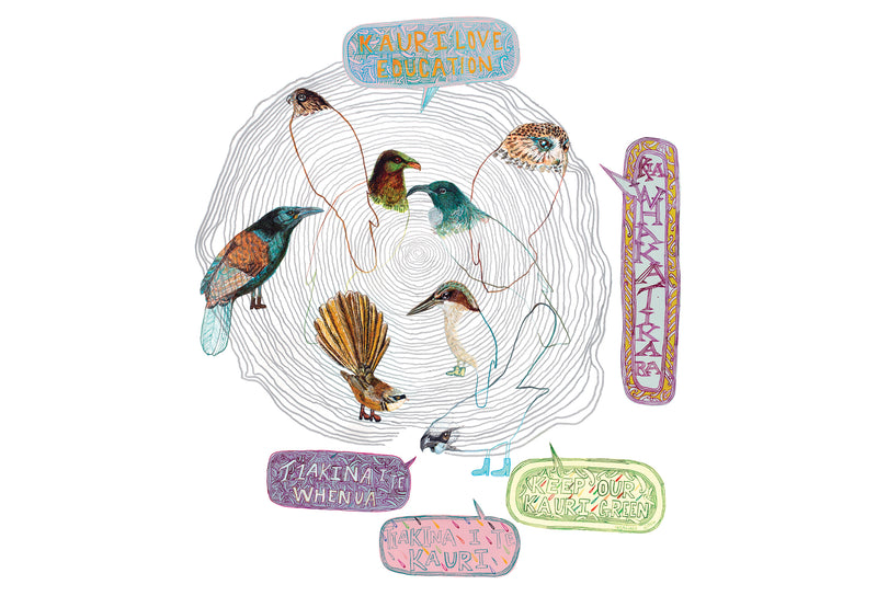 The Kauri Project: Poster Series
