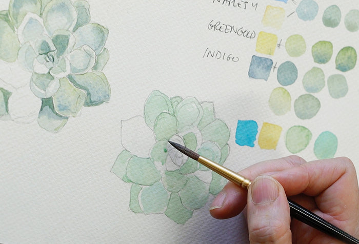 Explore Botanical Watercolours with Jennifer Duval-smith Term 4
