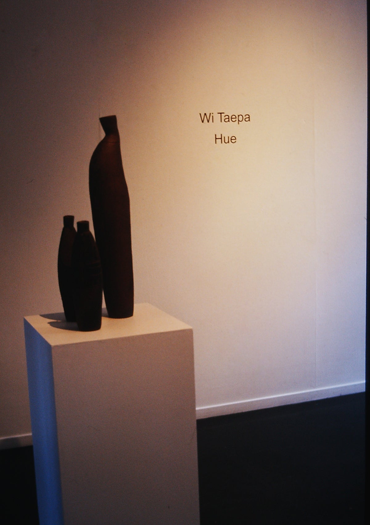 Wi Taepa: Hue exhibition photo