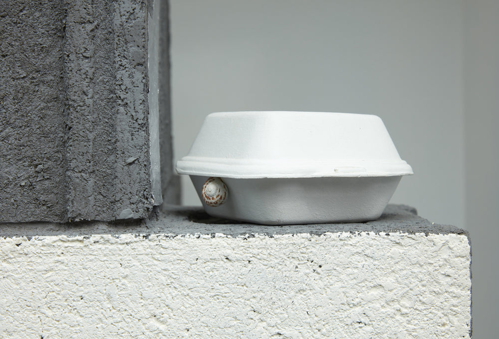 Window Space: Glen Hayward