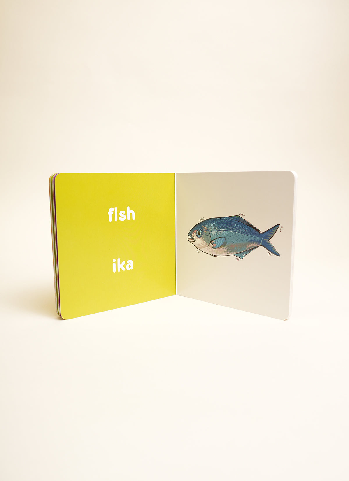 Animals For Kiwi Babies