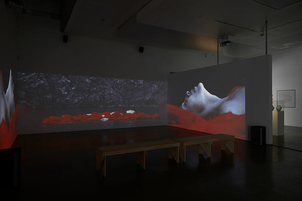 Blood Water Earth exhibition photo