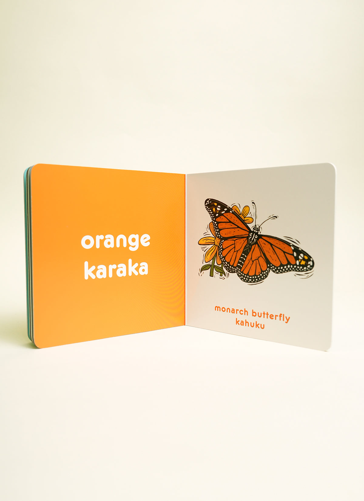 Colours For Kiwi Babies