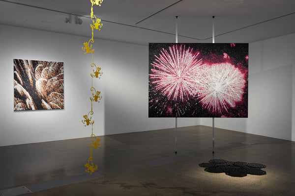 Lonnie Hutchinson and Reuben Paterson: Relative Reciprocity exhibition photo