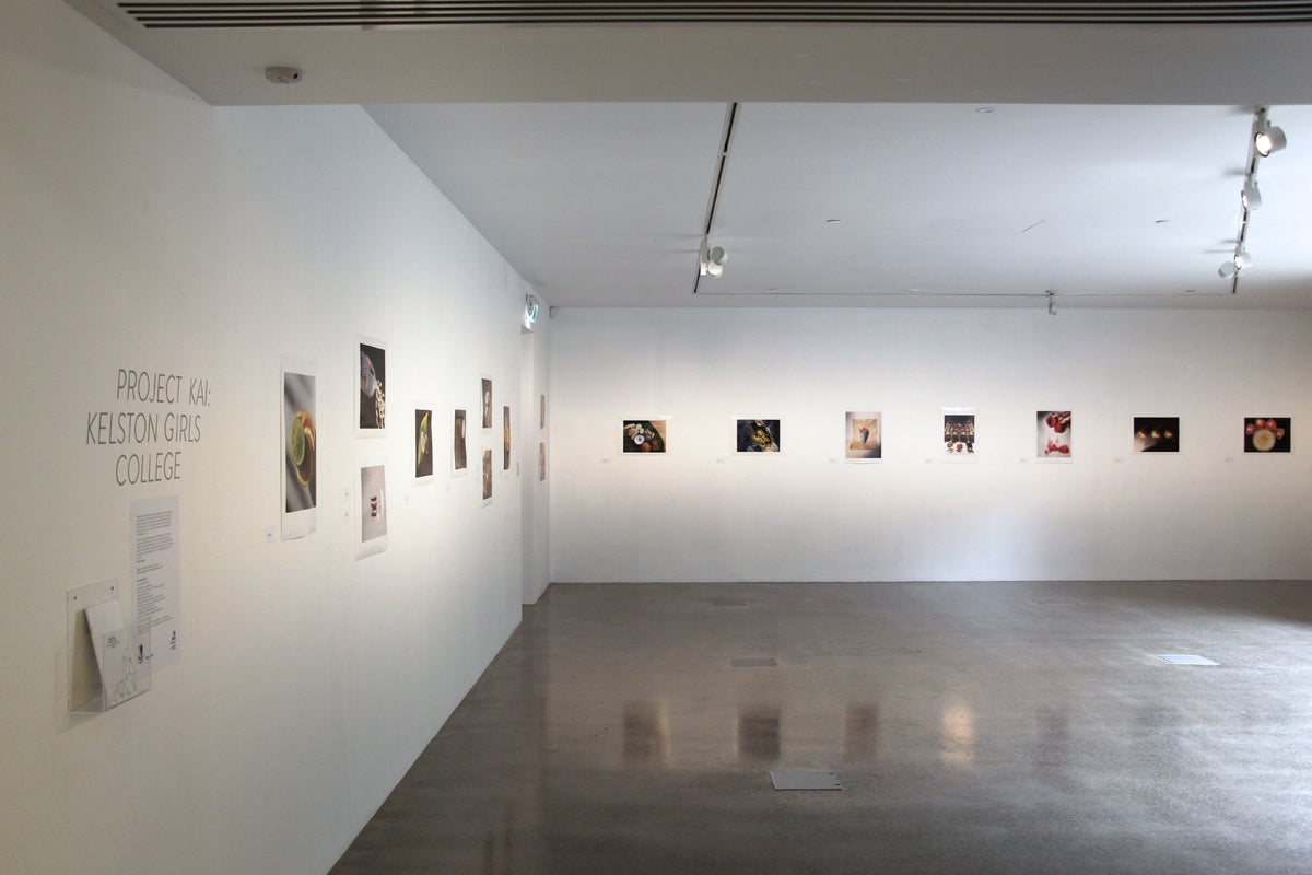 Learning Centre Gallery 2017 exhibition photo