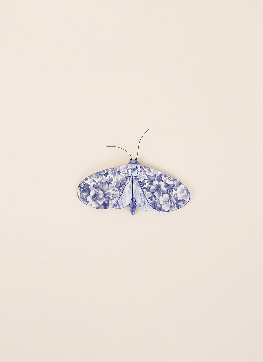 Kirsty Gardiner Moths