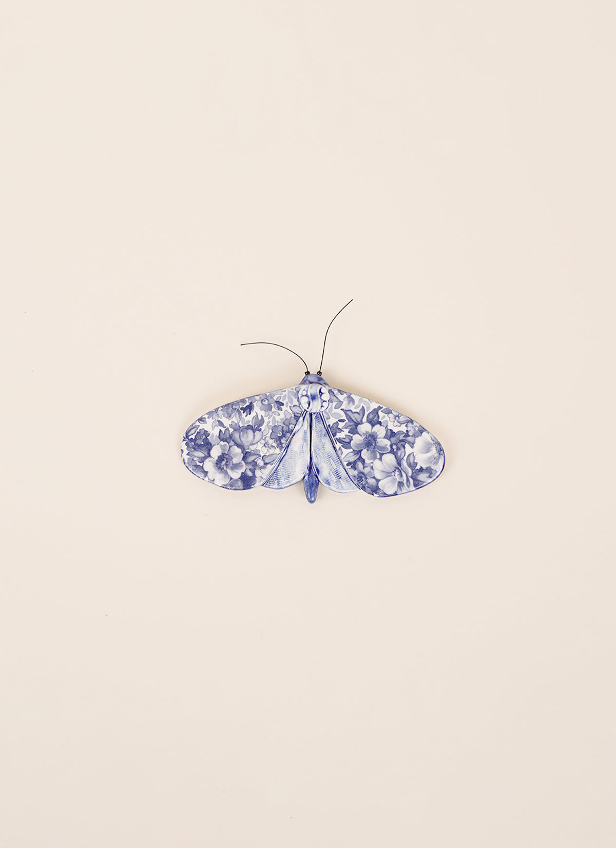 Kirsty Gardiner Moths