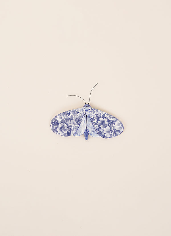 Kirsty Gardiner Moths