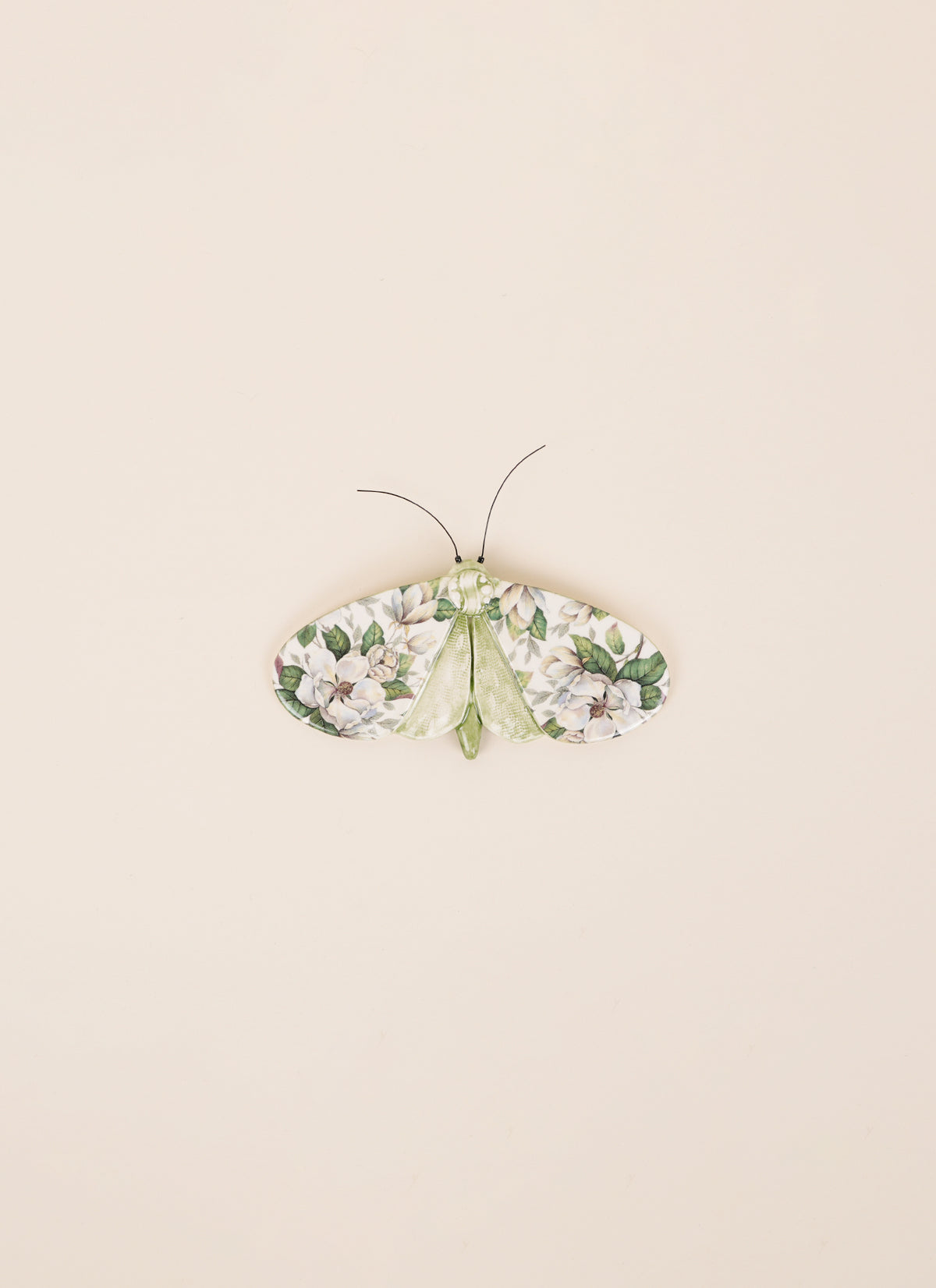 Kirsty Gardiner Moths