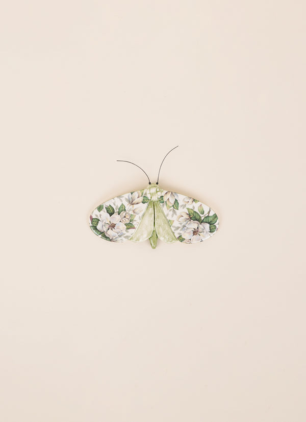 Kirsty Gardiner Moths