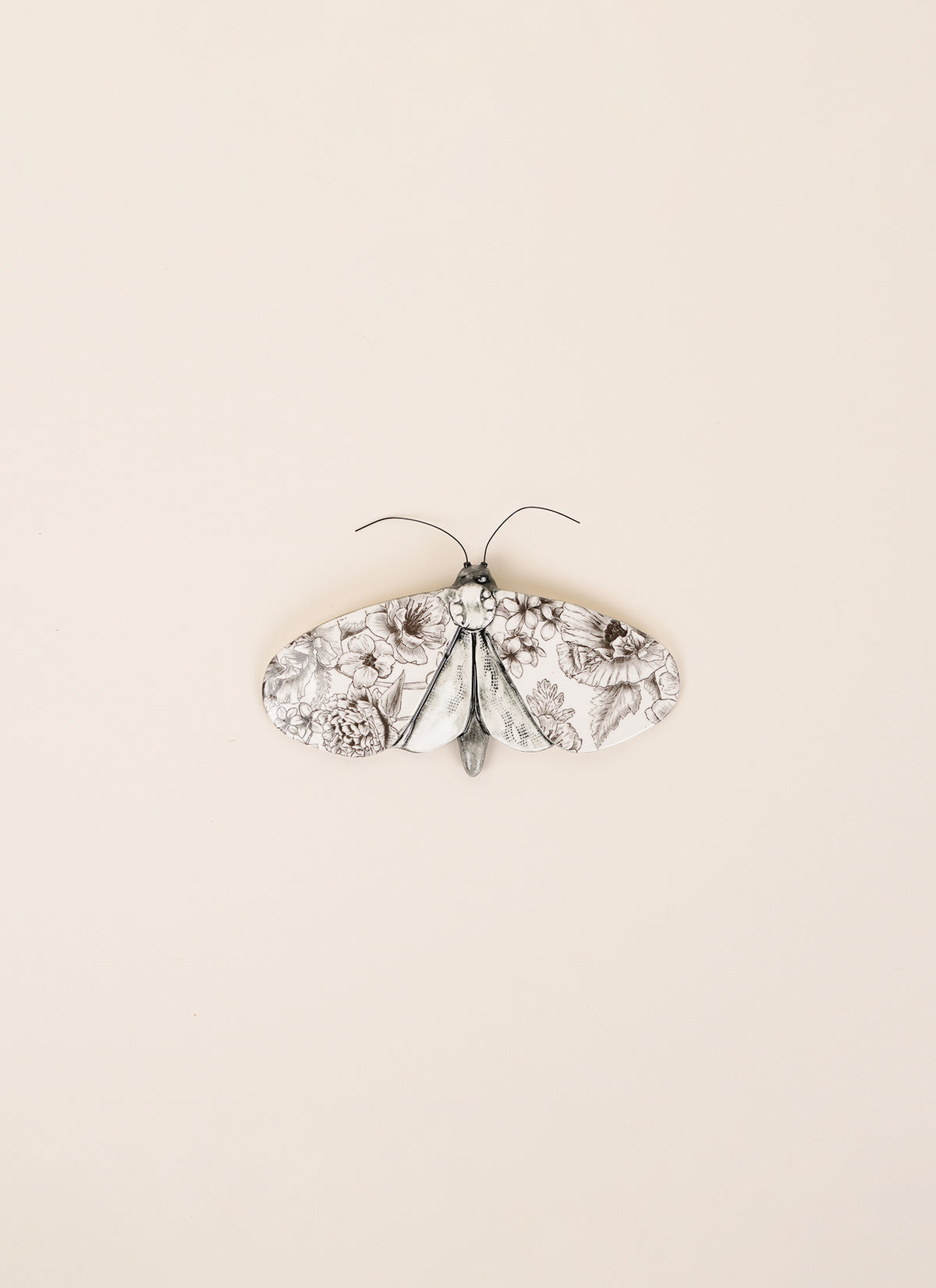 Kirsty Gardiner Moths