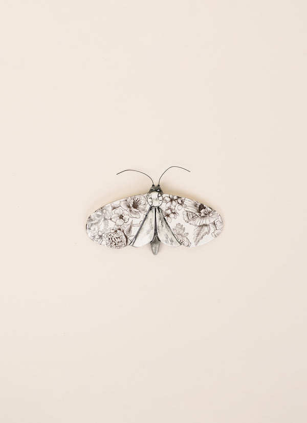 Kirsty Gardiner Moths