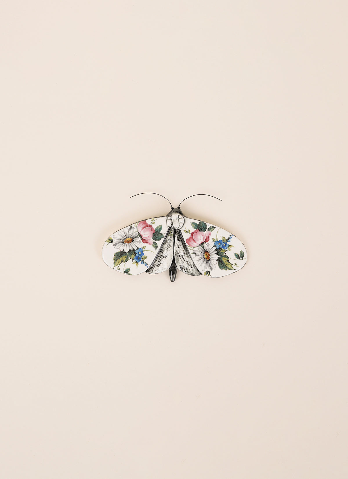 Kirsty Gardiner Moths