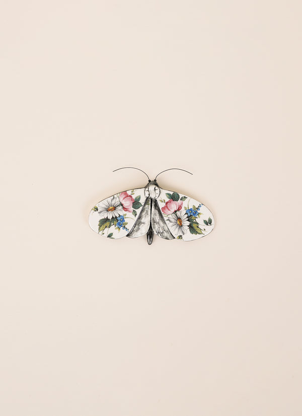 Kirsty Gardiner Moths