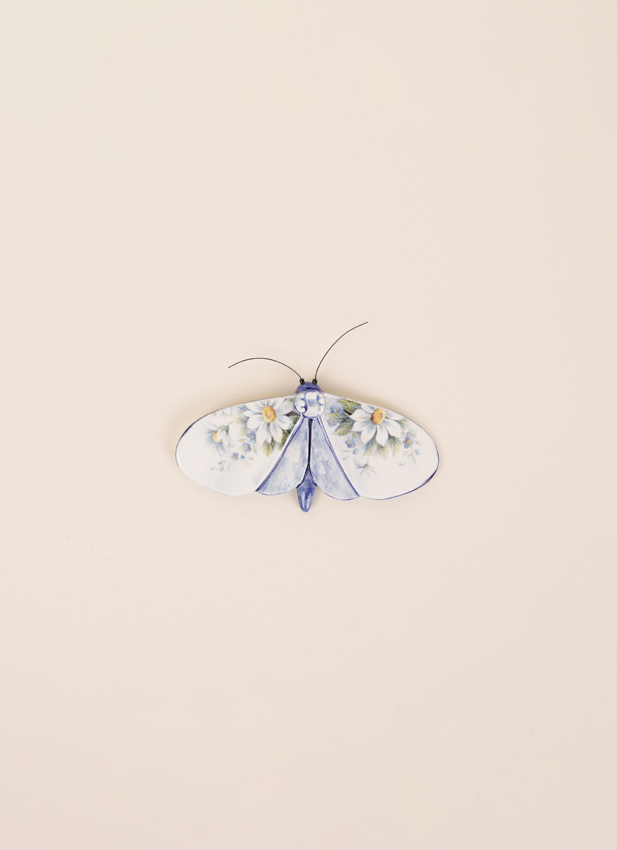 Kirsty Gardiner Moths