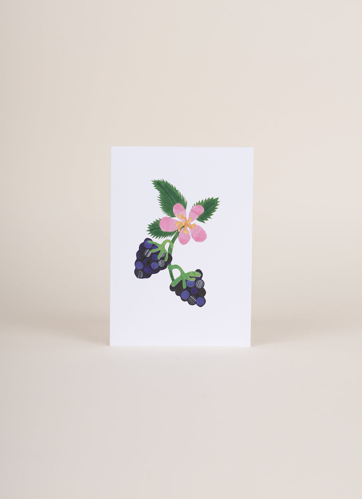 Poppy and Sage Card