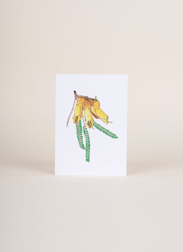 Poppy and Sage Card