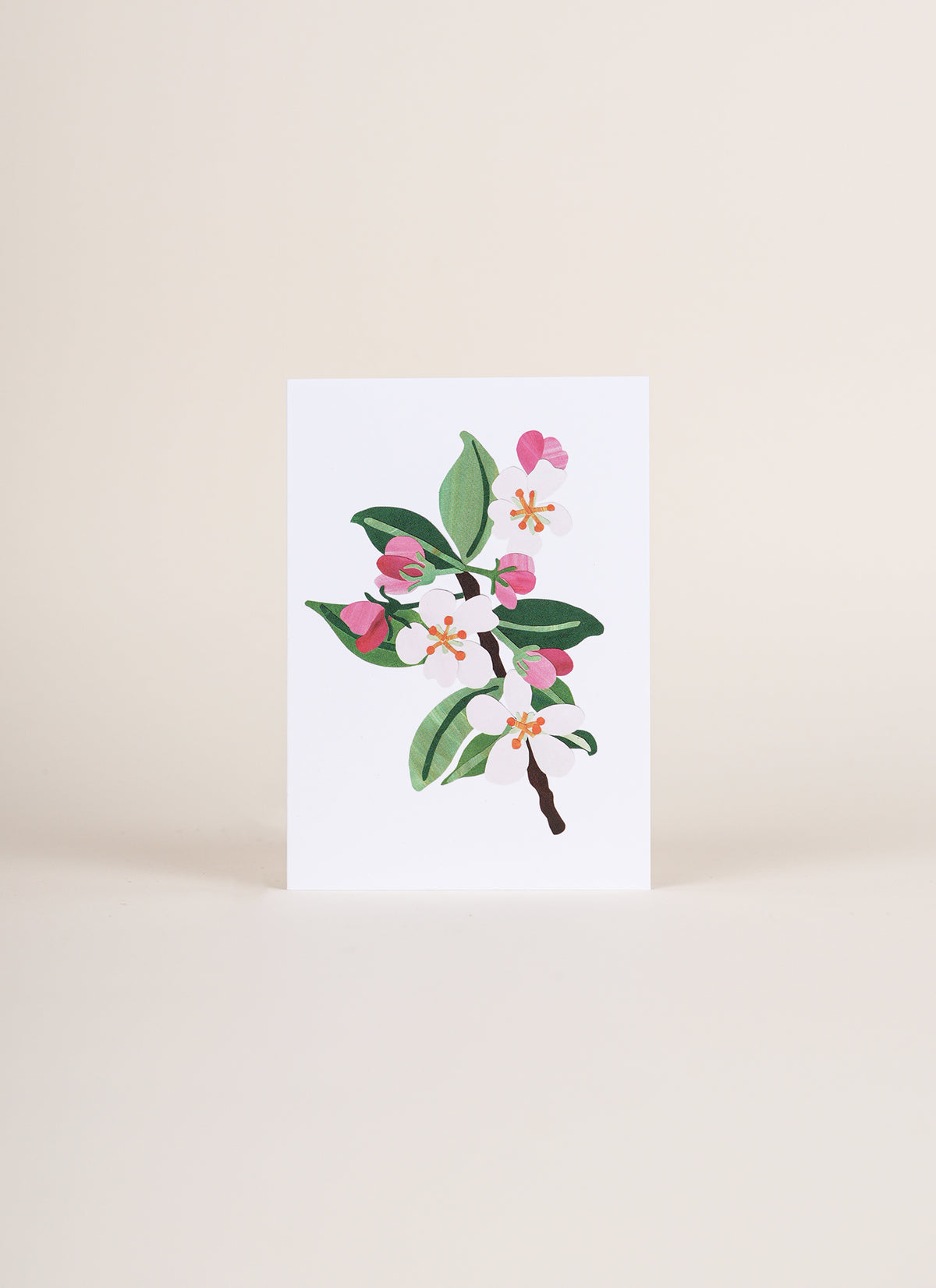 Poppy and Sage Card