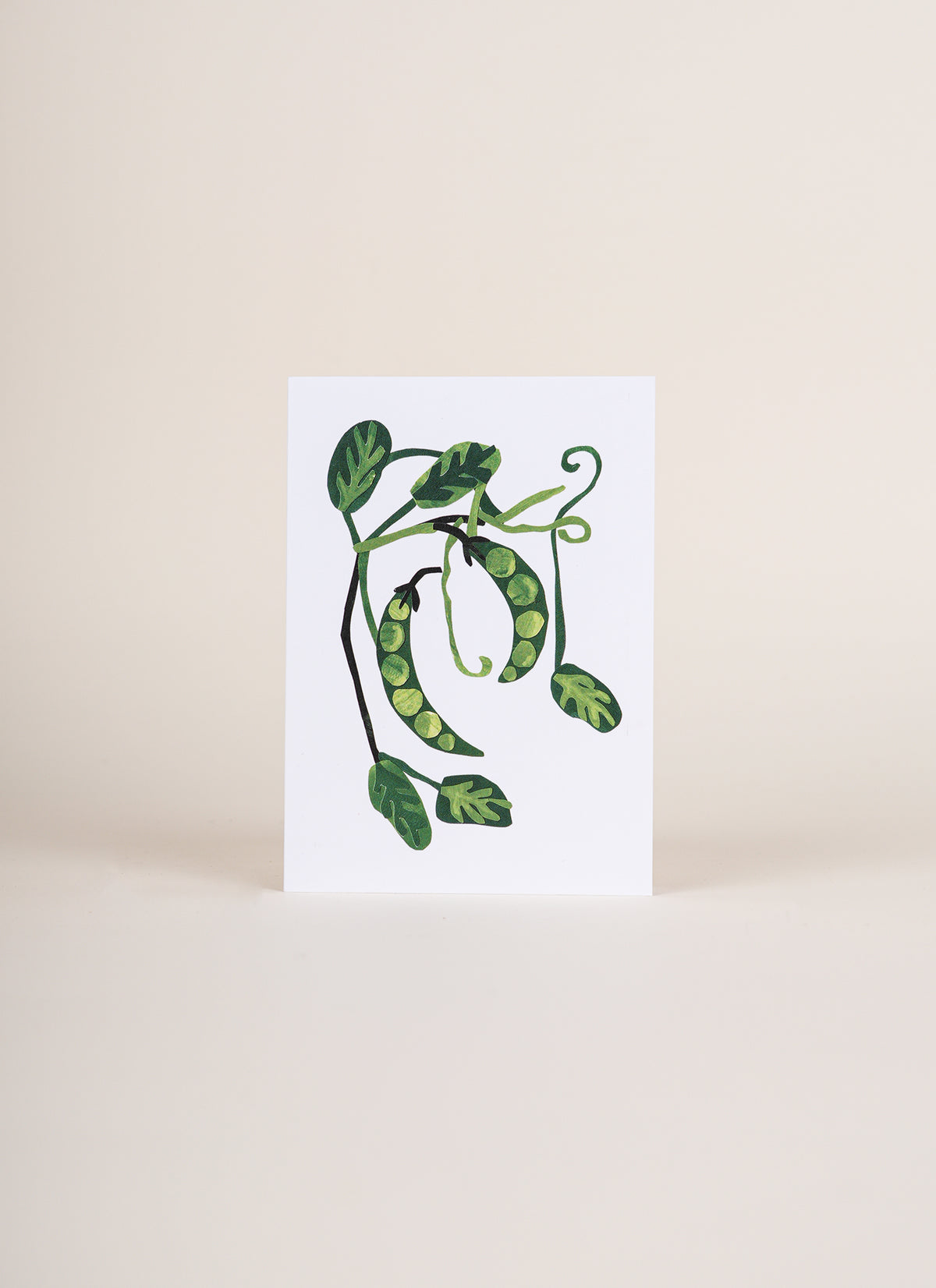 Poppy and Sage Card